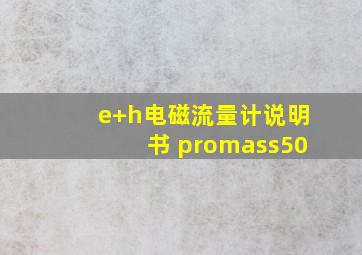 e+h电磁流量计说明书 promass50